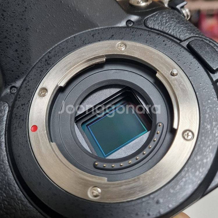 파나소닉 루믹스 gh4--8