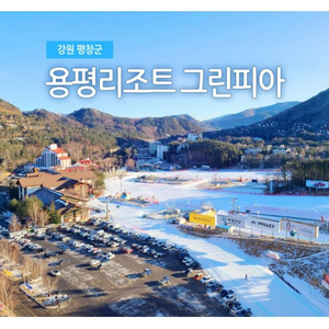 용평리조트. 그린피아 25평 26일