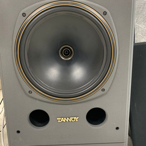 탄노이 tannoy system 12