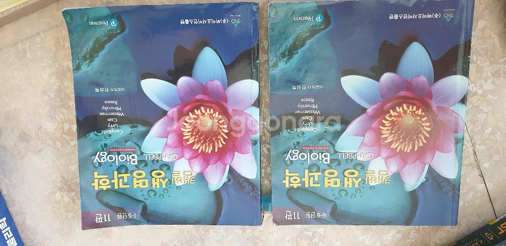 캠벨 생명과학 11판--0