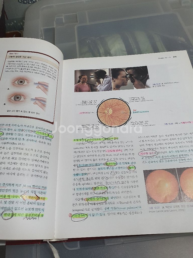 건강사정--1
