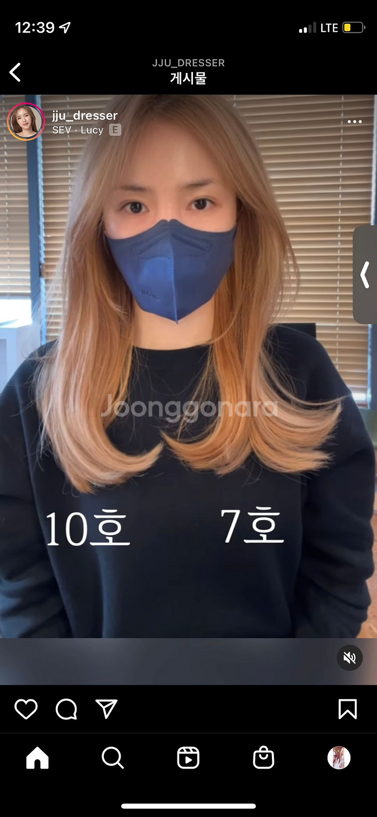 쭈드레 롤빗 대왕롤빗 드라이 7호--3