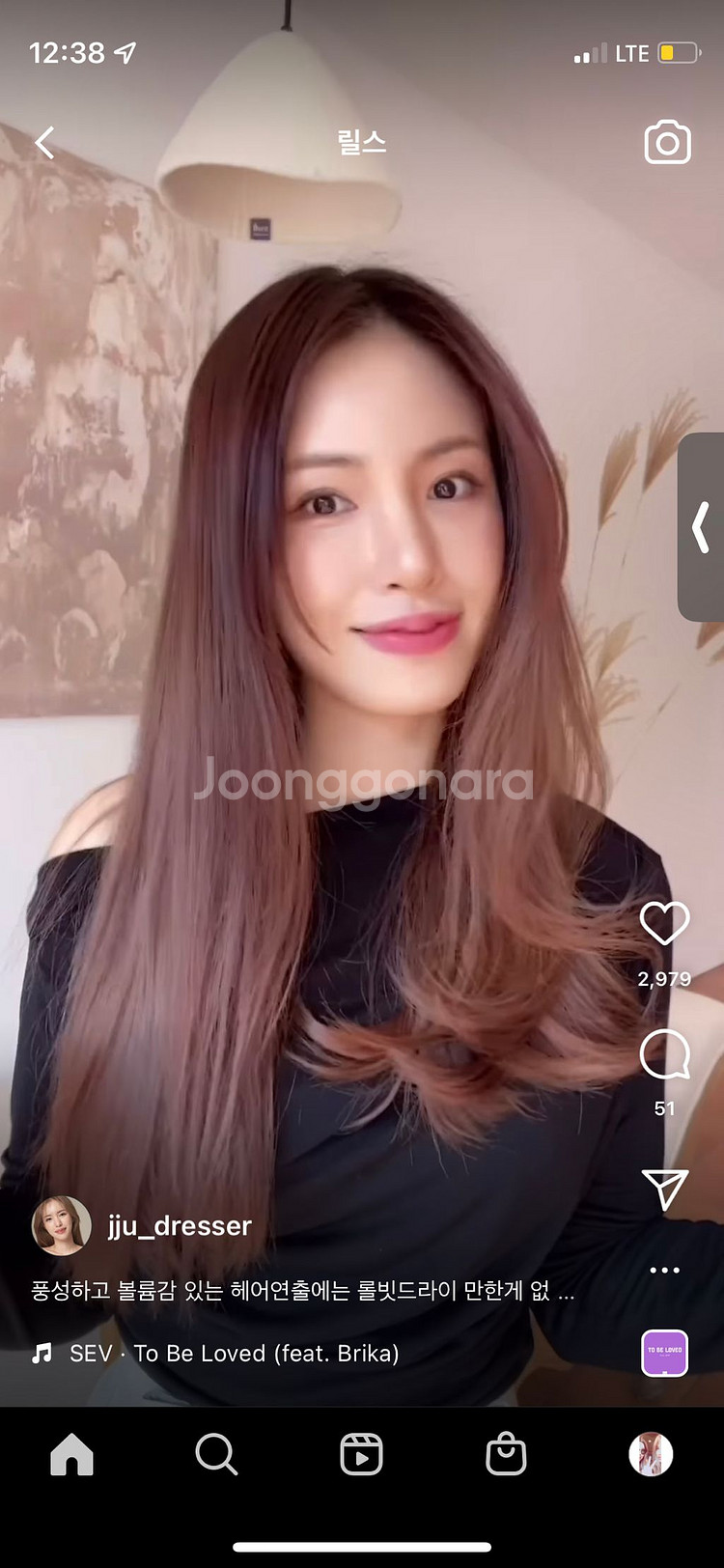 쭈드레 롤빗 대왕롤빗 드라이 7호--5