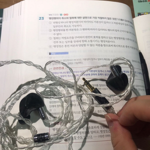 루시드 코니