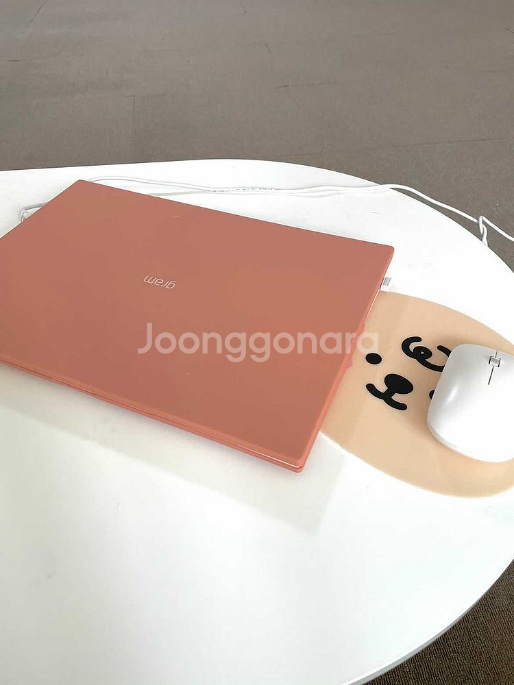 LG그램16 16ZD90P-GX50K--3