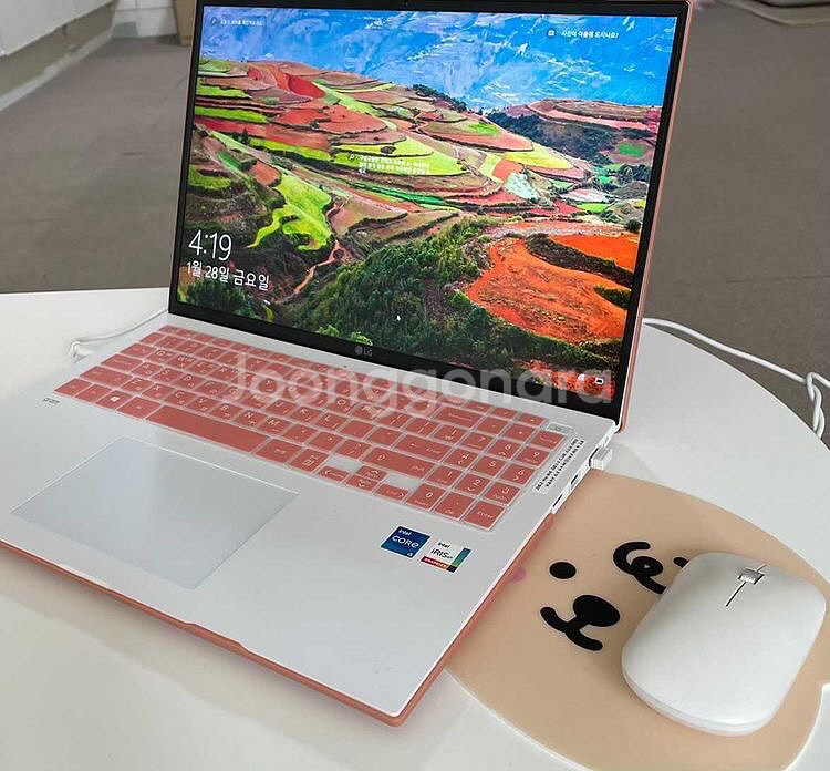 LG그램16 16ZD90P-GX50K--2