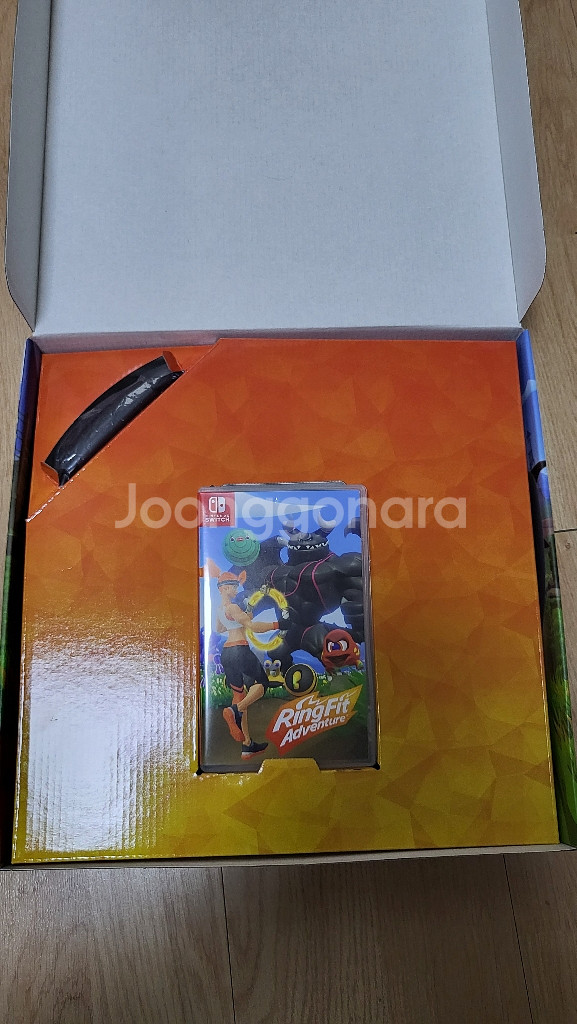 링피트--1