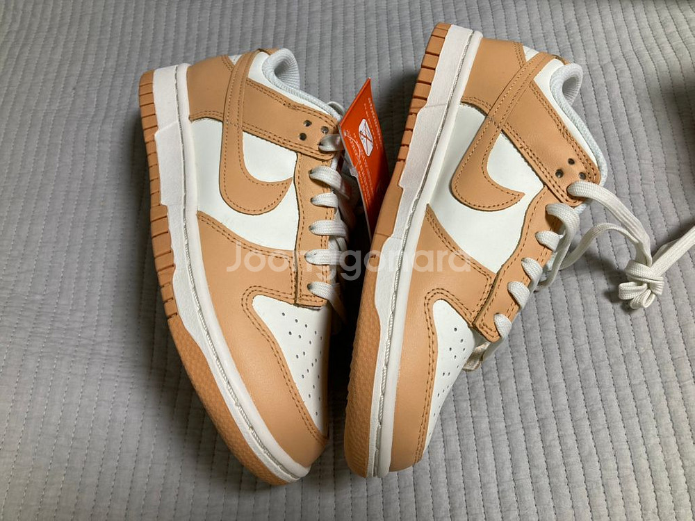 덩크 로우 하베스트문 235--2