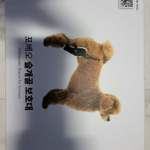 포베오 슬개골 보호대 좌우 사이즈m