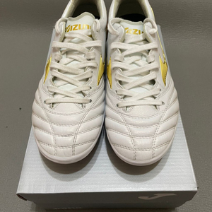 미즈노 모렐리아 네오2 260 JP