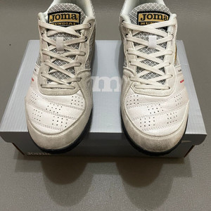 조마 문디알 TF 260