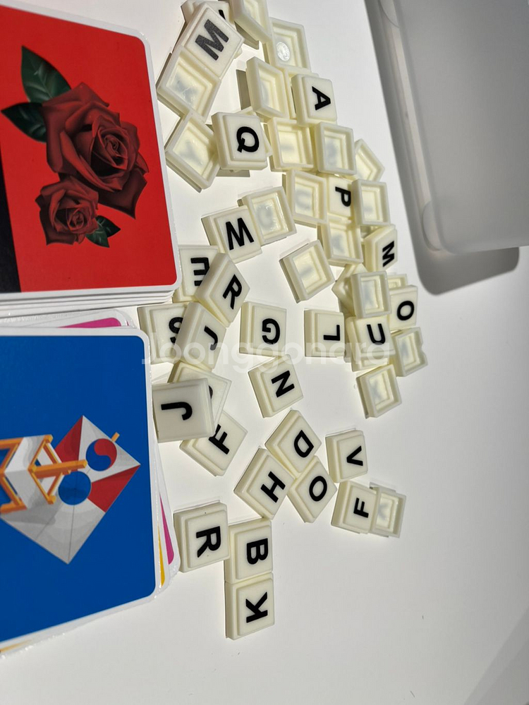 영어보드게임 Literacy Fun--2