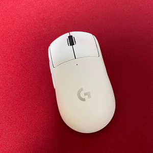 G pro superlight 지슈라 슈글피트 부착