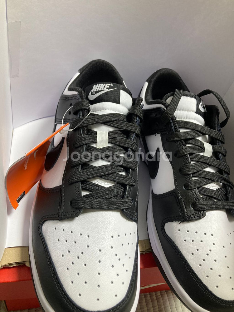 덩크 범고래265--1