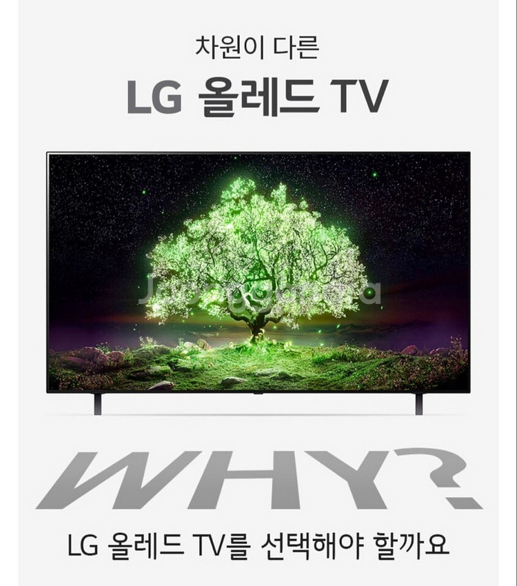 LG OLED TV 65인치 티비 팔아요(새상품--0