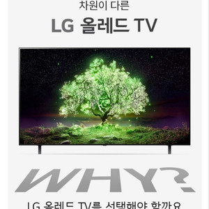 LG OLED TV 65인치 티비 팔아요(새상품