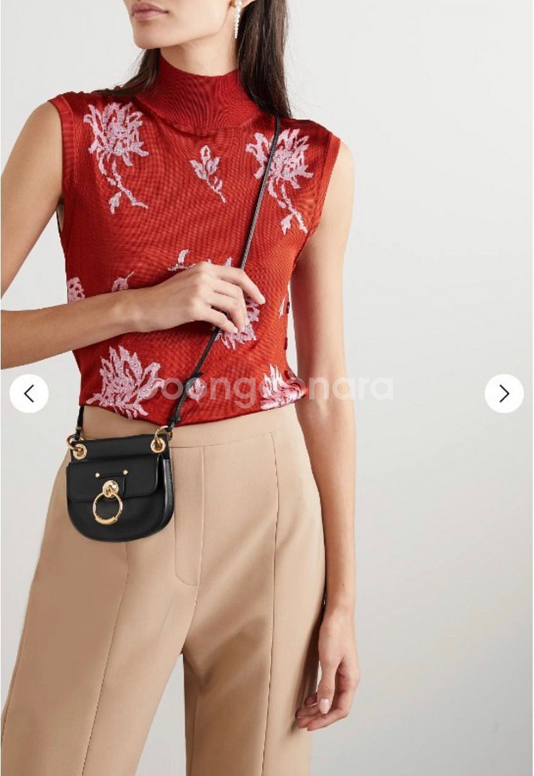 끌로에 마이크로백--5