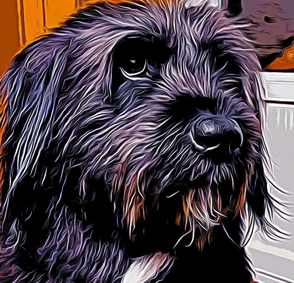 profile-image