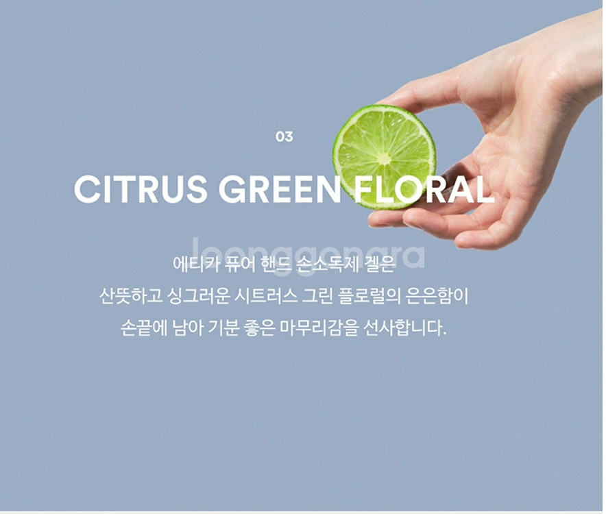 에티카 손소독제(480ml)--4