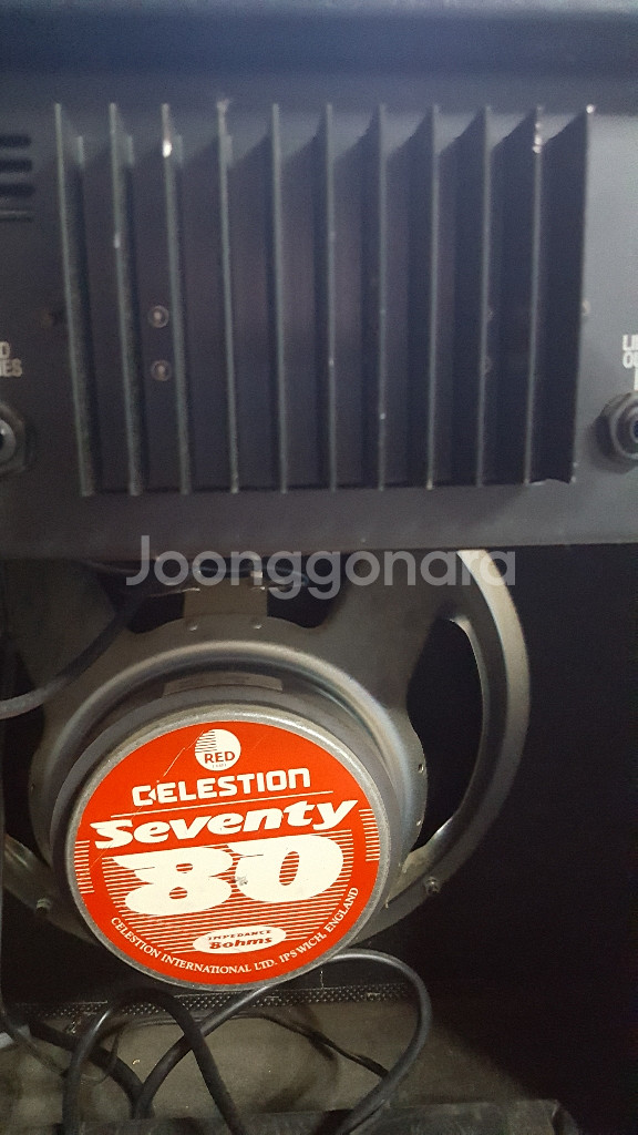 레이니 진공관 콤보 기타앰프--5