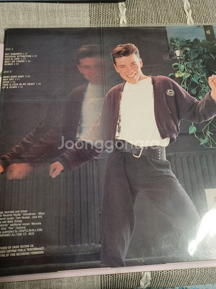 ADDY 헌팅톤 LP--1