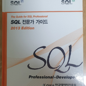 sql 전문가가이드