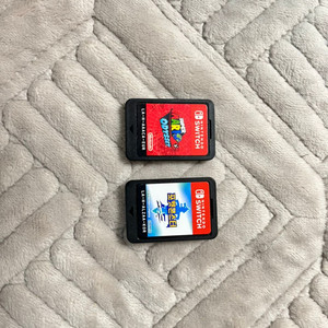 닌텐도 스위치 칩