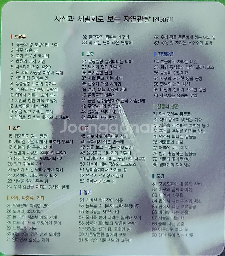 웅진원리가보이는과학수학 자연관찰 메가독서논술초등1학년--4