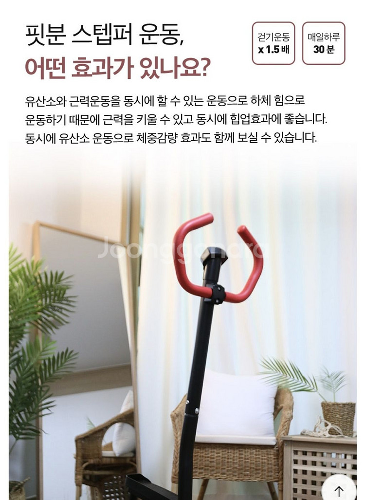 핏분 스탠딩 스텝퍼 B-ST500--2
