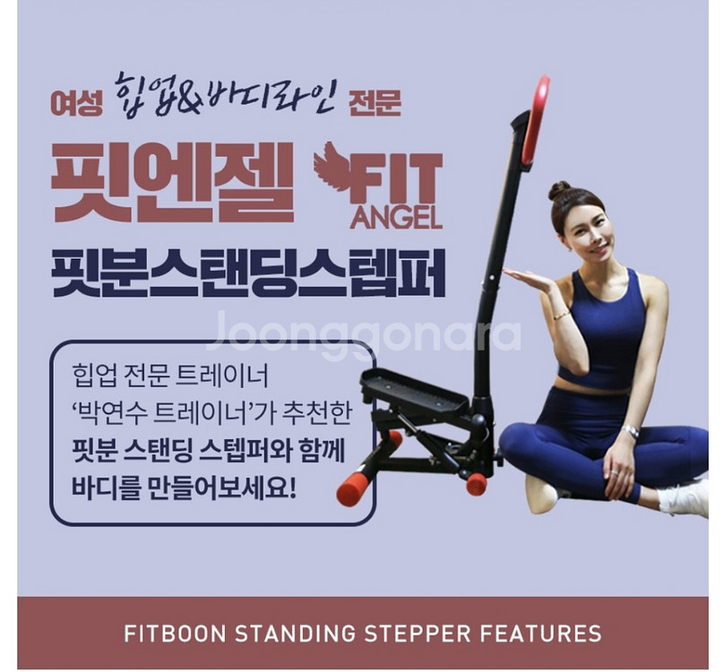 핏분 스탠딩 스텝퍼 B-ST500--1