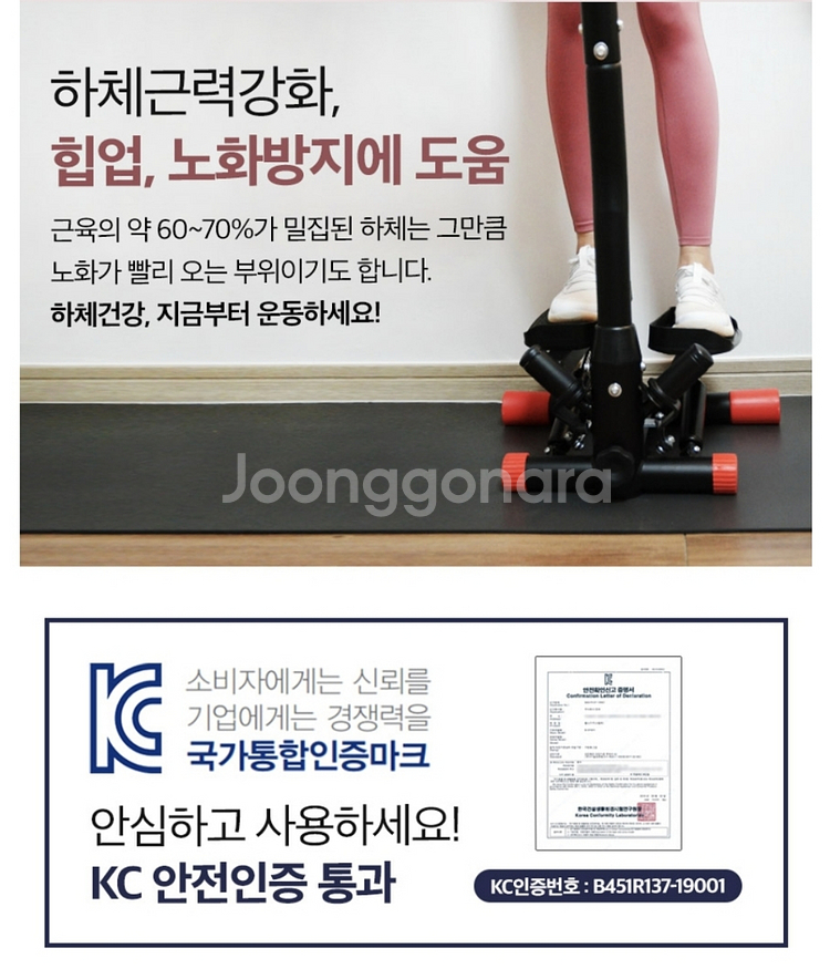 핏분 스탠딩 스텝퍼 B-ST500--6