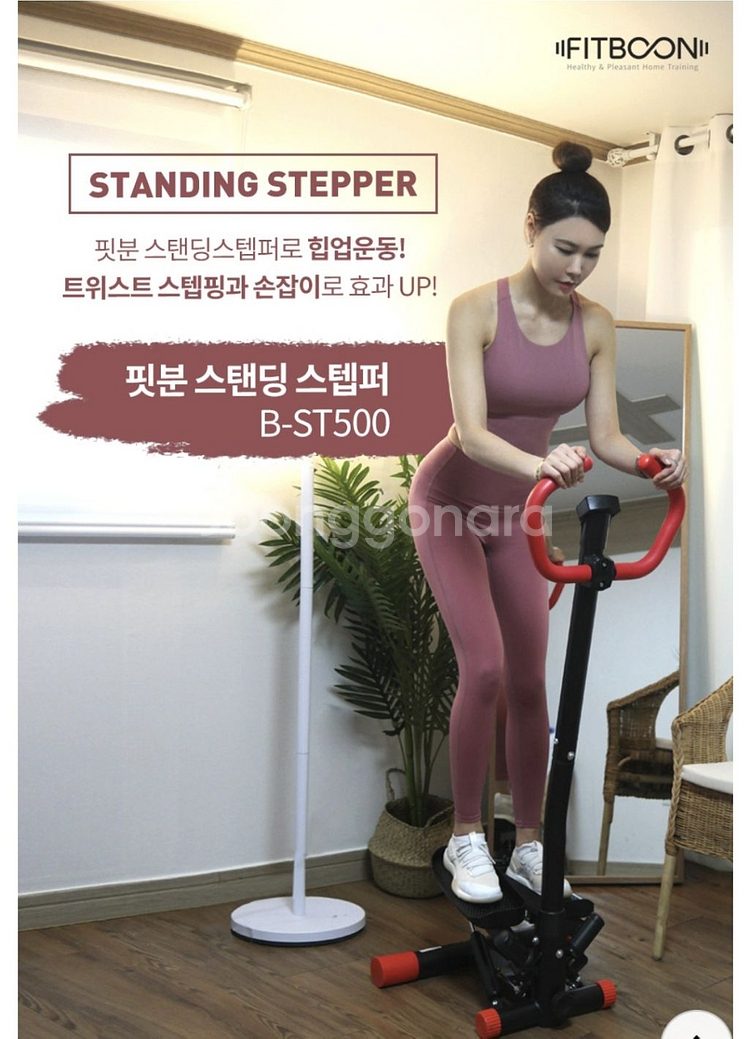 핏분 스탠딩 스텝퍼 B-ST500--8