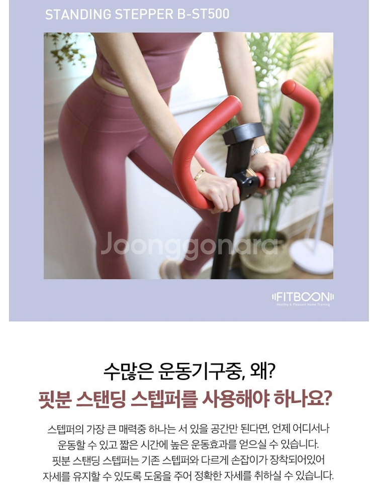 핏분 스탠딩 스텝퍼 B-ST500--4