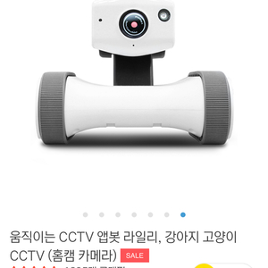 반려동물 cctv