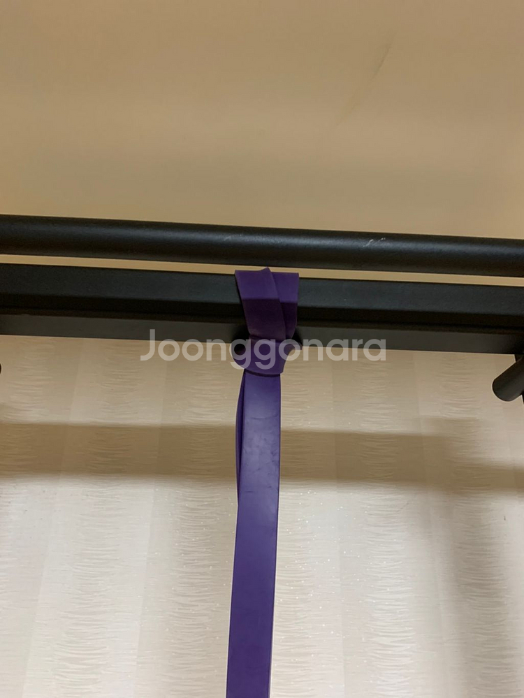 건강한형제들 철봉--1