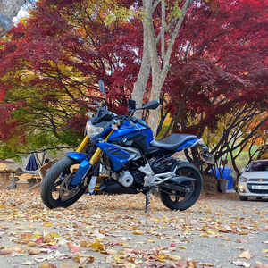 bmwg310r