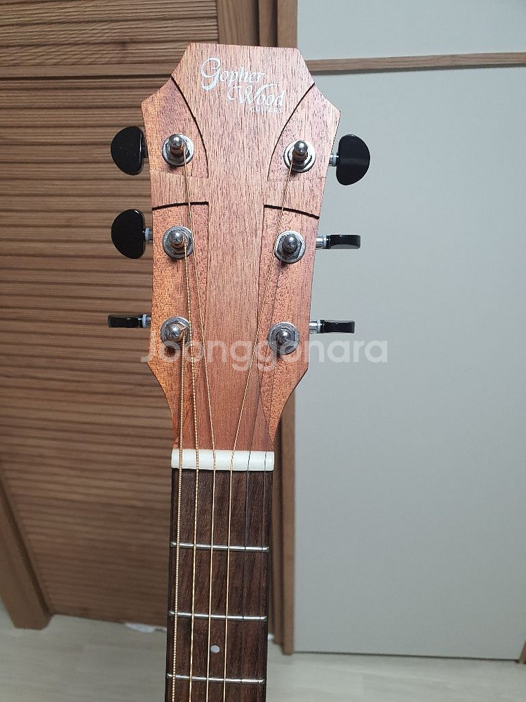 고퍼우드 g130c 어쿠스틱기타--1
