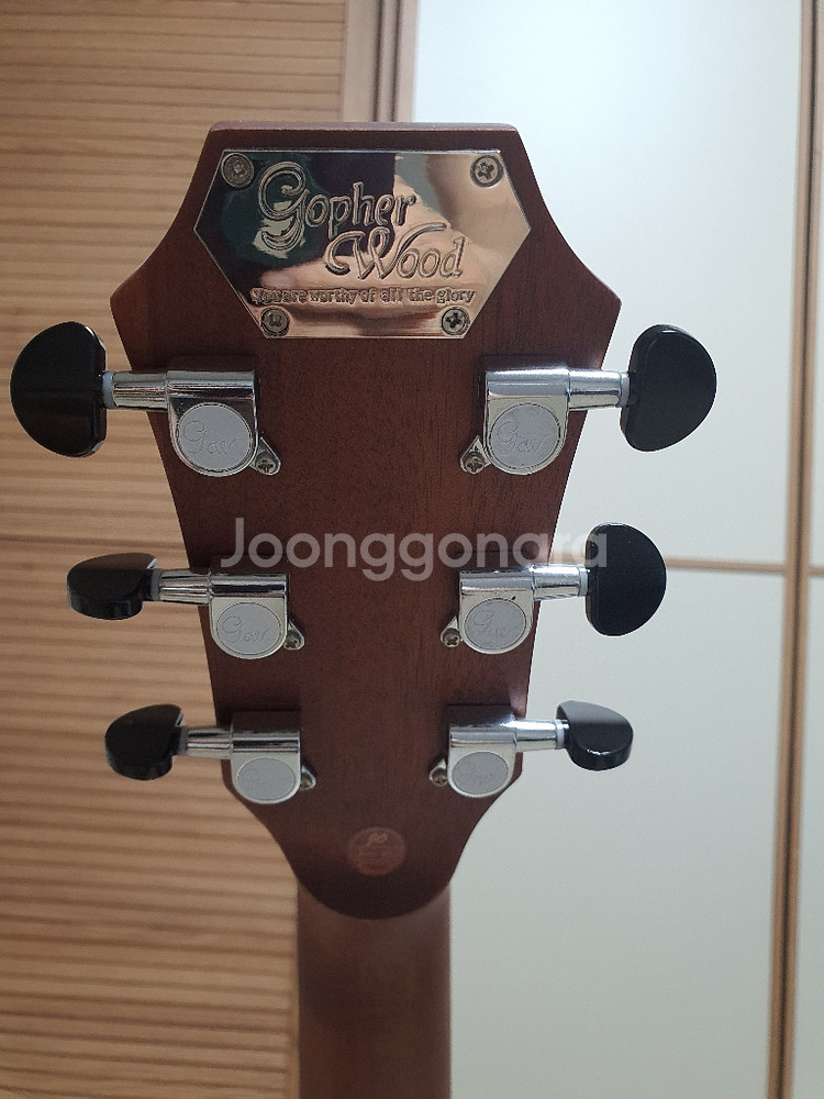고퍼우드 g130c 어쿠스틱기타--3