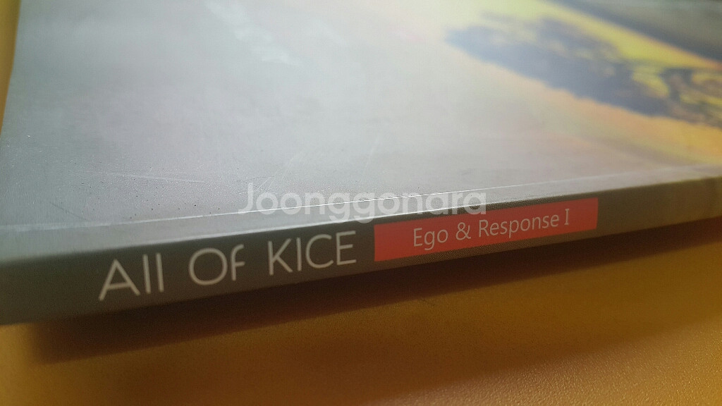 대성마이맥 국어 김승리 올 오브 카이스 2주차--7