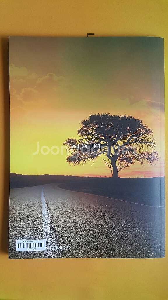 대성마이맥 국어 김승리 올 오브 카이스 2주차--2