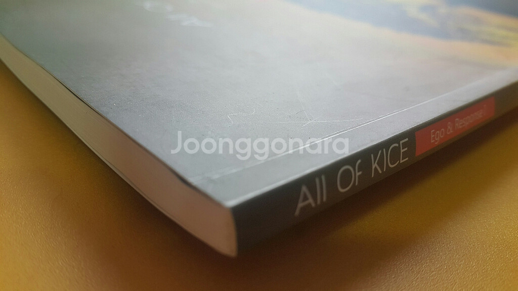 대성마이맥 국어 김승리 올 오브 카이스 2주차--3