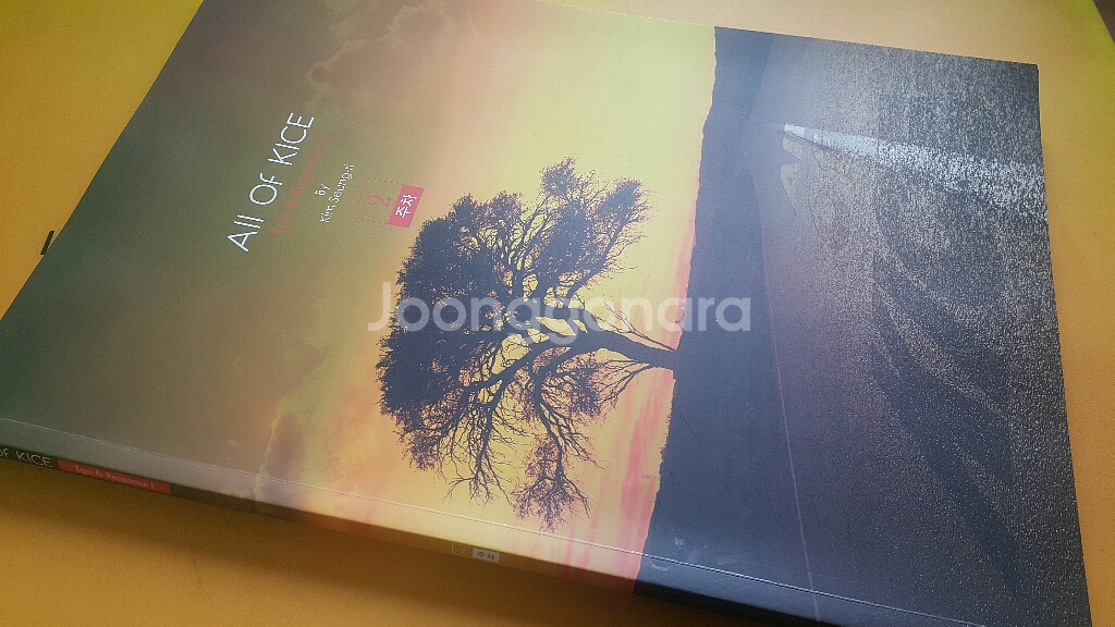 대성마이맥 국어 김승리 올 오브 카이스 2주차--8