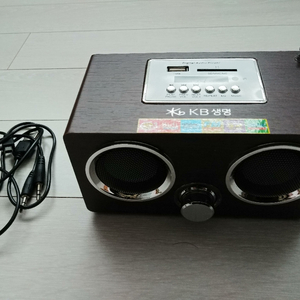 MP3/RADIO SPEAKER SD-1000