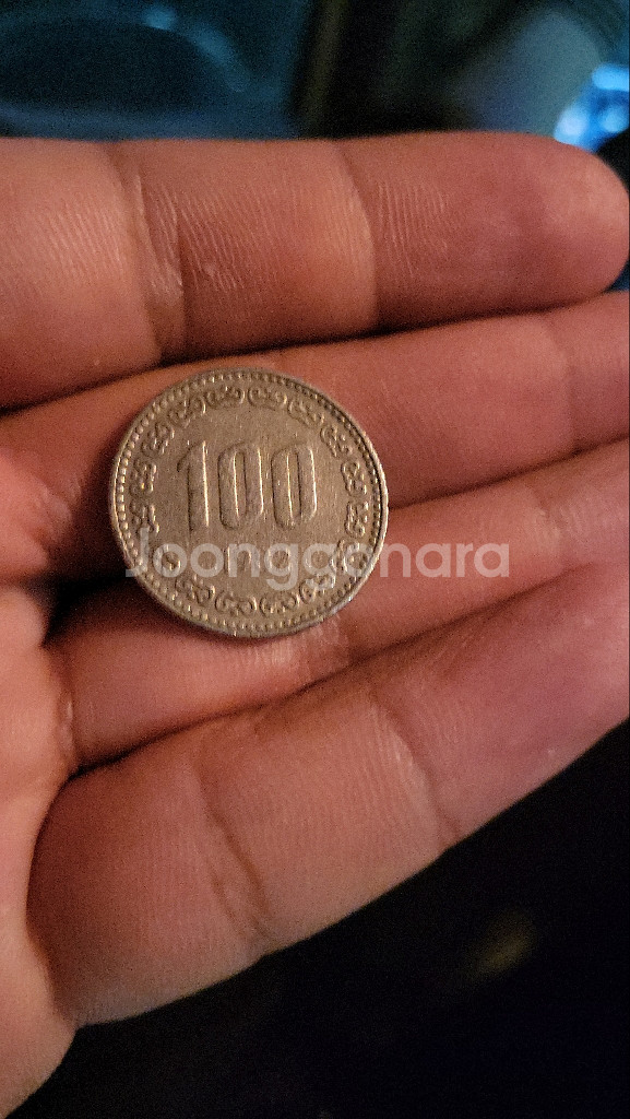 1982년 100원짜리동전--1