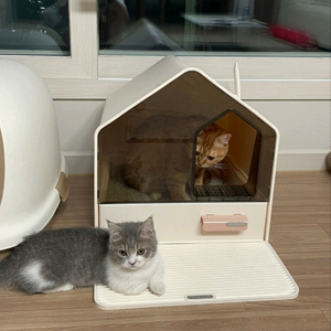 예쁜 고양이 하우스 서랍형 화장실
