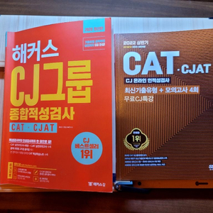 CJ 인적성 문제집 2권