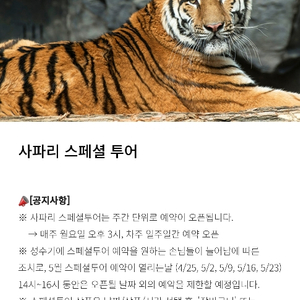 5월19일 에버랜드사파리스페셜투어 구합니다