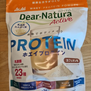 일본 단백질 보충제