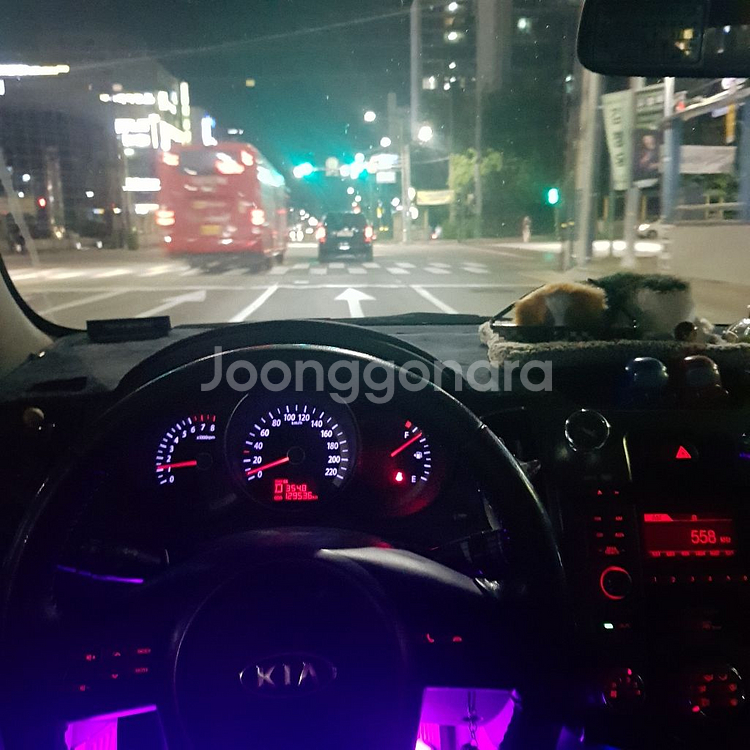 기아 포르테 1.6 LPI 럭셔리--4