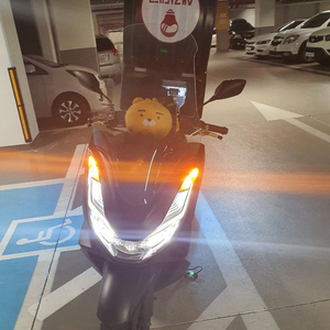 pcx125 21년식 abs모델